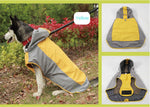 Double layer big dog raincoat