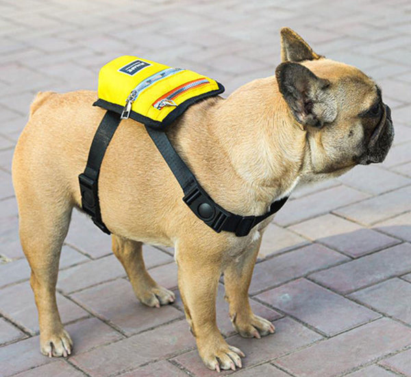 Nueva mochila para mascotas de excursión