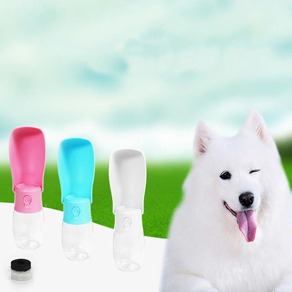 Folding pet water bottle