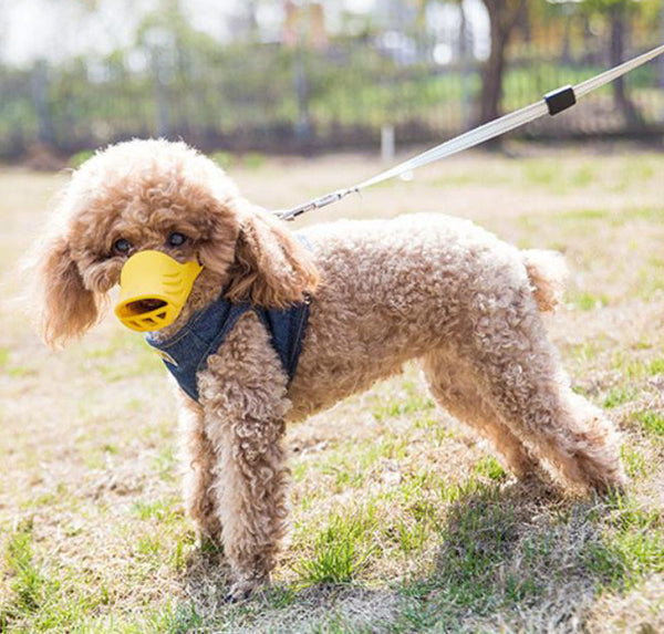 Dog mouth cover anti-biting anti-indiscriminate eating and barking device medium-sized small dog Teddy silicone duck mouth cover