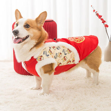 New Year's winter warm clothing for Corgi dogs in autumn and winter