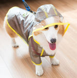 Corgi raincoat protects belly puppies special waterproof clothes