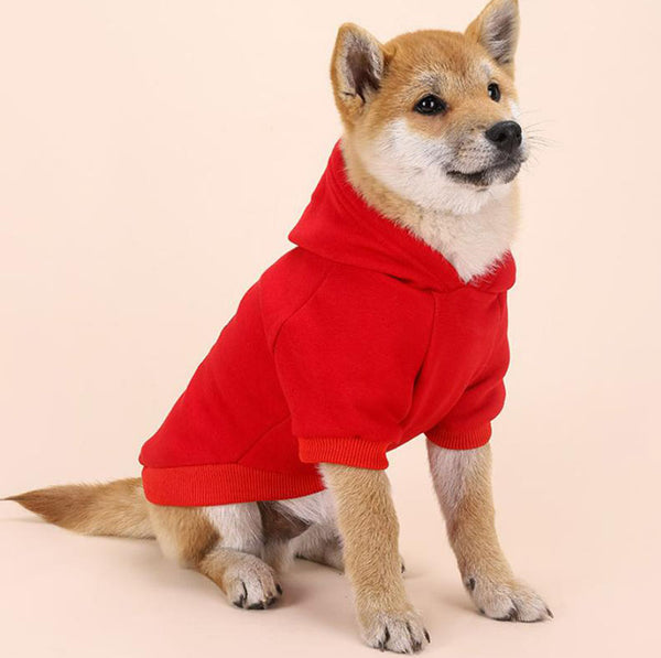 Dog's feet plus velvet warm personality trend hooded sweater