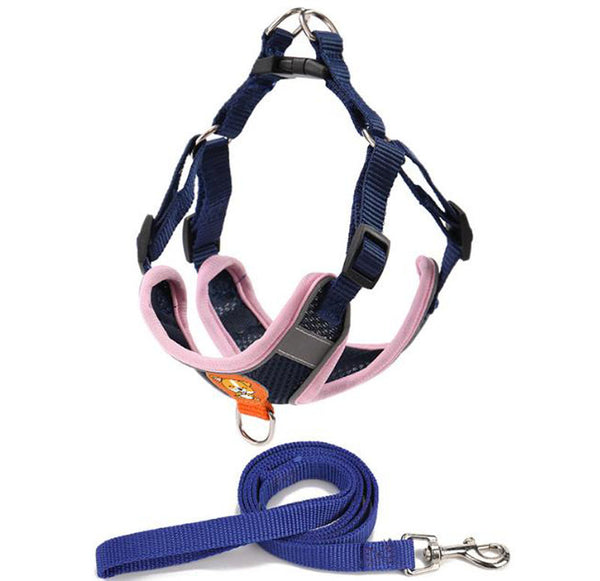 Reflective breathable leash for pet chest harness