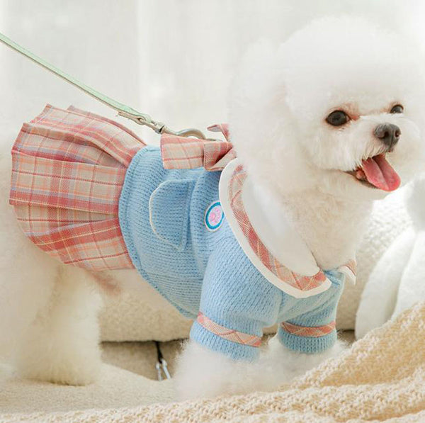 Autumn and winter little dog little fragrant princess dress