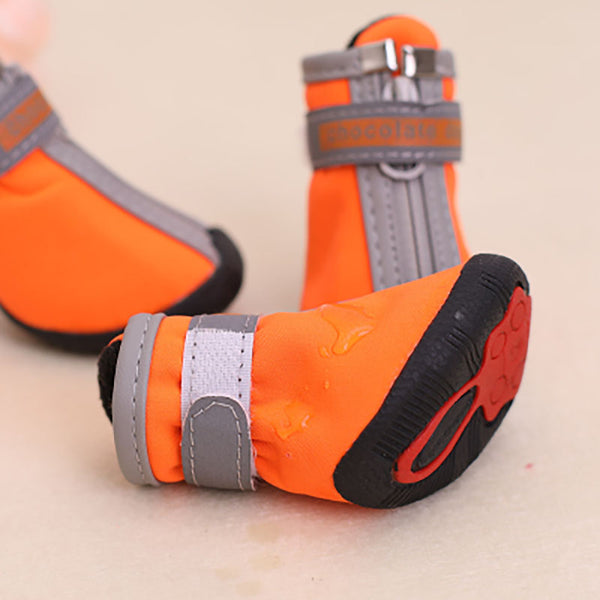 Bottes de pluie pour petits chiens