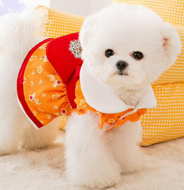 Robe d'automne et d'hiver de nouveau style pour les petits chiens