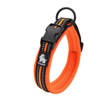 Dog collars