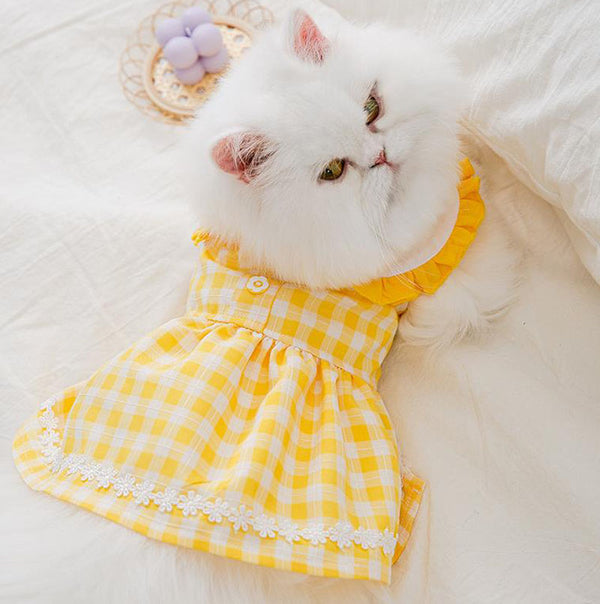 Cat skirt