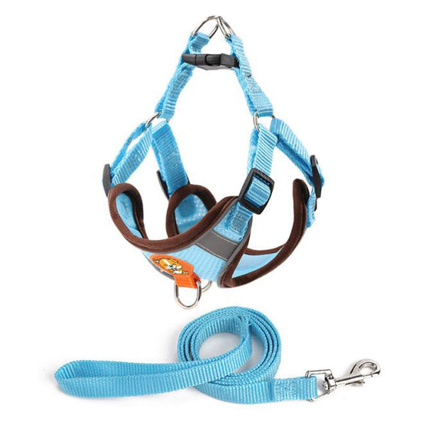 Reflective breathable leash for pet chest harness