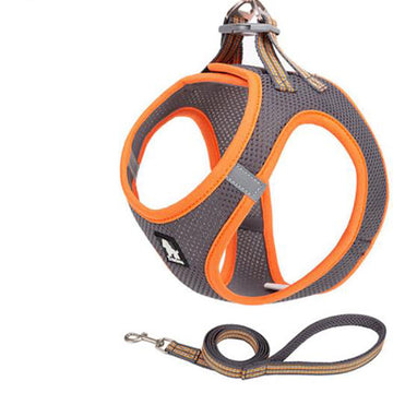 Small dog rope vest