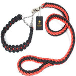 Large dog walking rope