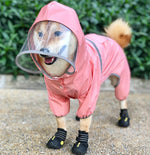 Shiba inu dog raincoat