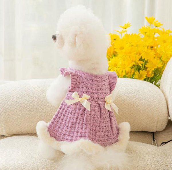 Autumn and winter little dog little fragrant princess dress