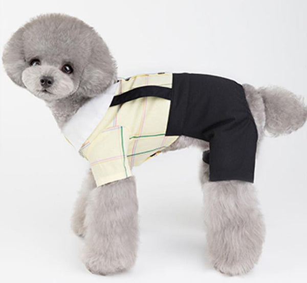 Pet clothing spring and summer new dog clothes couples wear student suits Teddy Bichon Pomeranian clothes